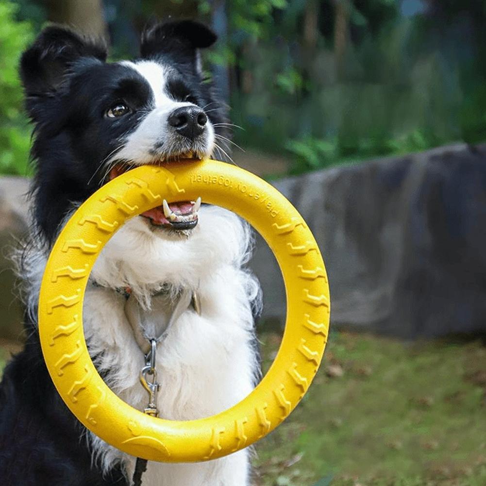 Indestructible Dog Chew Toy - Hondenspeeltjes: onverwoestbare kauwspeeltjes, vliegende en drijvende