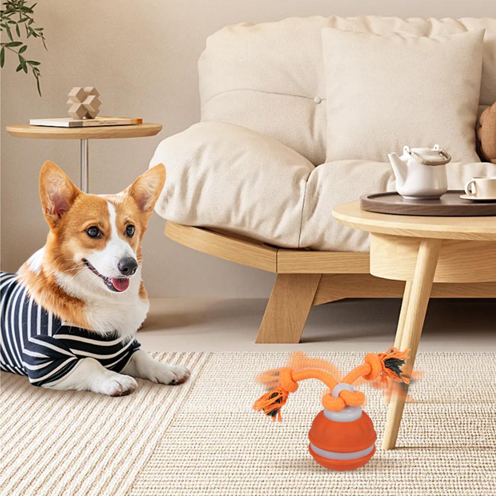 Huisdierbal voor honden Intera - Automatic Moving Dog Ball recensie en prijs