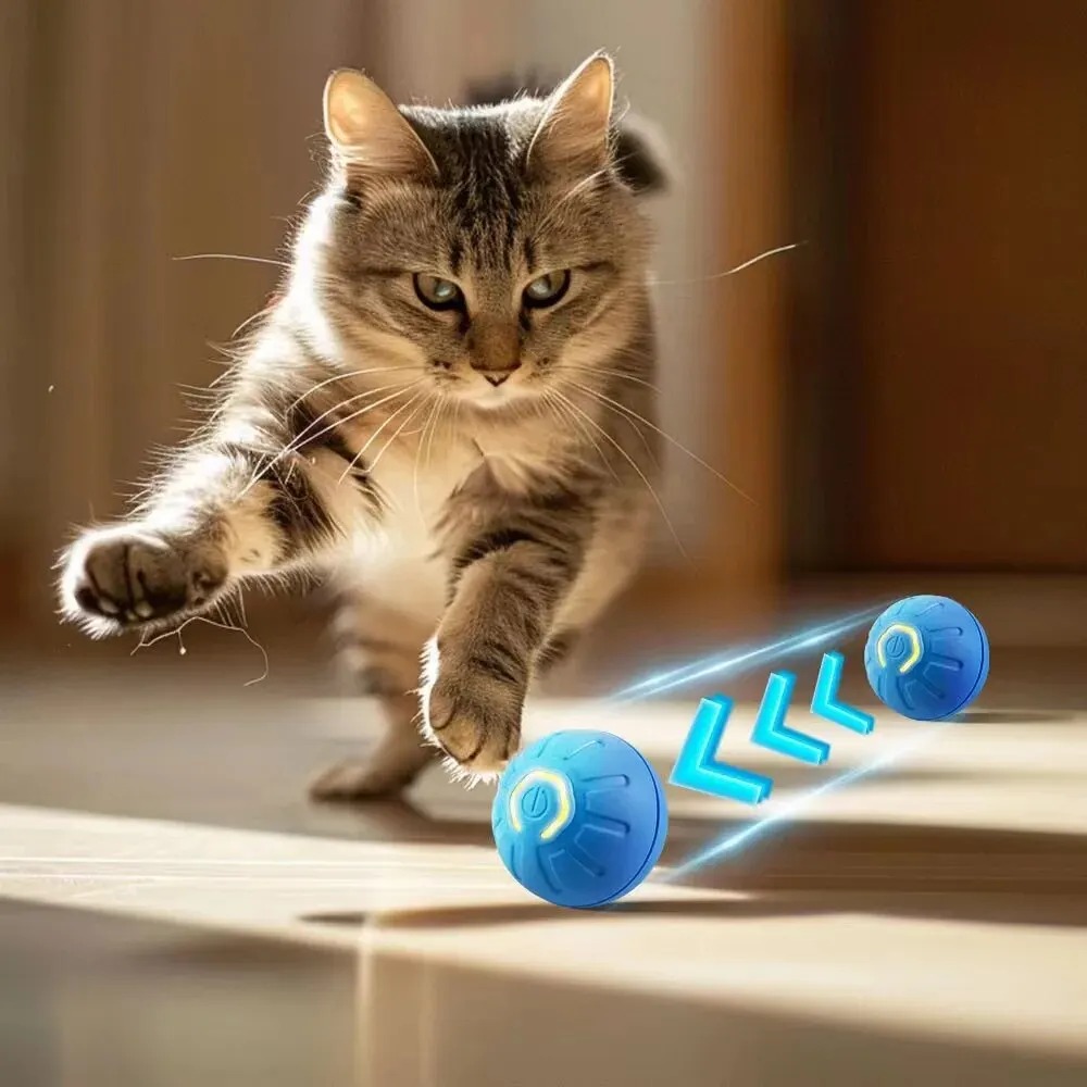 Nieuwe 1 st Automatische Beweg - Automatic Moving Dog Ball recensie en prijs