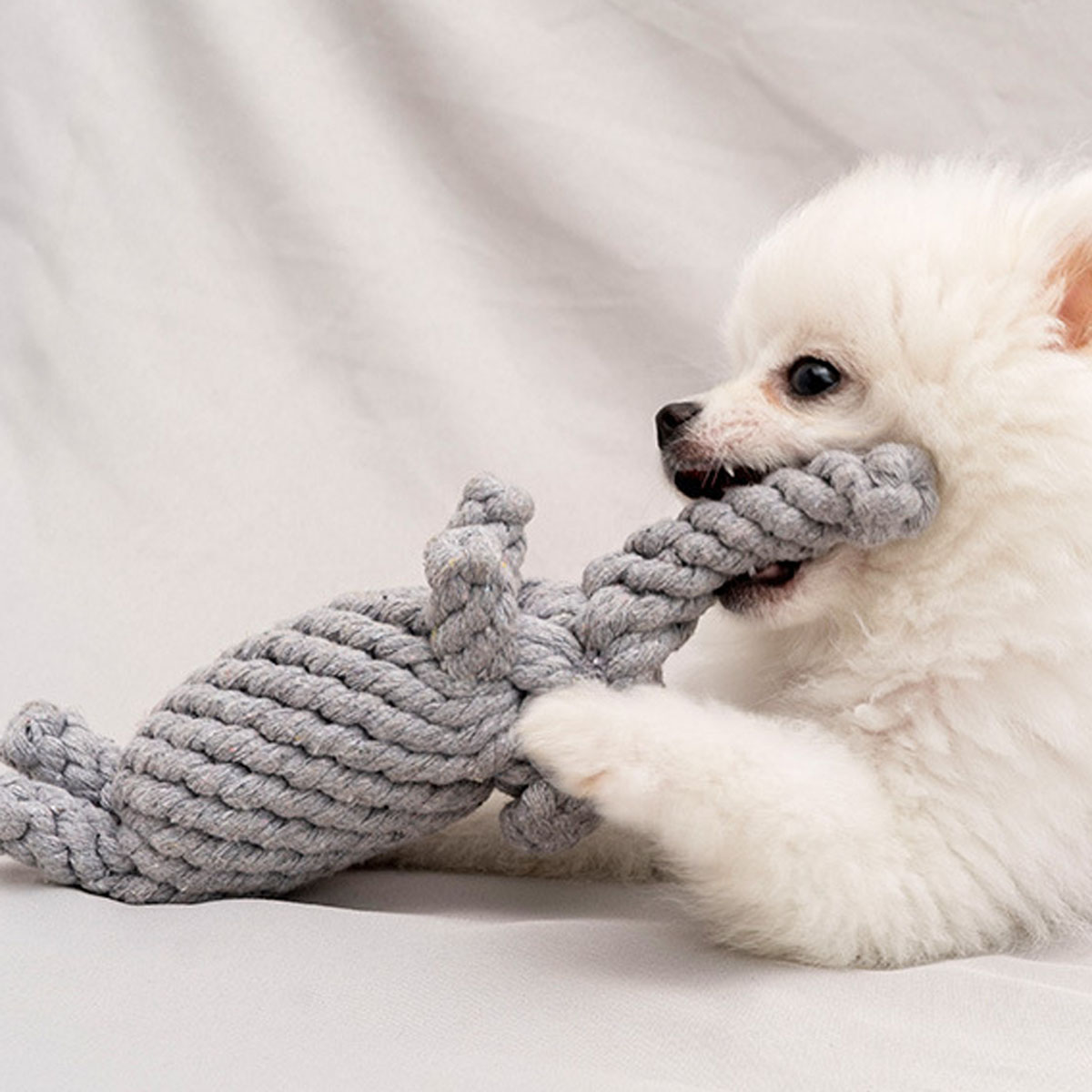 Hot touw knoop slijpen tandenb - Indestructible Dog Chew Toy recensie en prijs