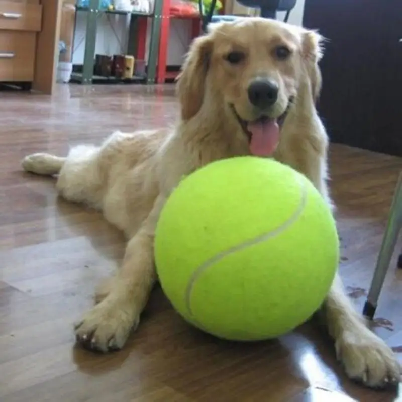 7/8/9.5Inch Hondentennisbal Gi - Interactive Squeaky Plush Dog Toy recensie en prijs