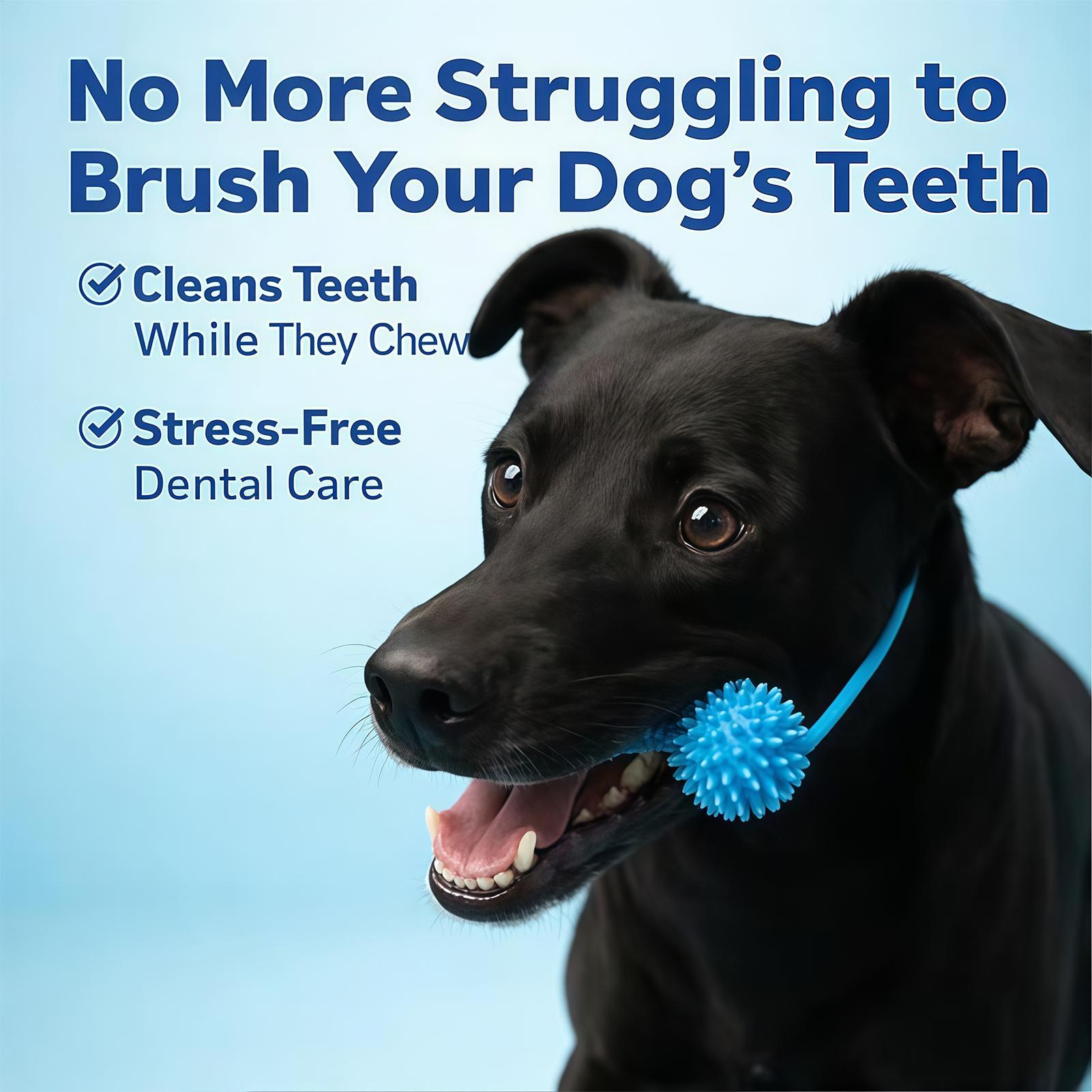 Hondentandenborstel-speeltjes, - Rubber Treat Dispensing Dog Toy recensie en prijs