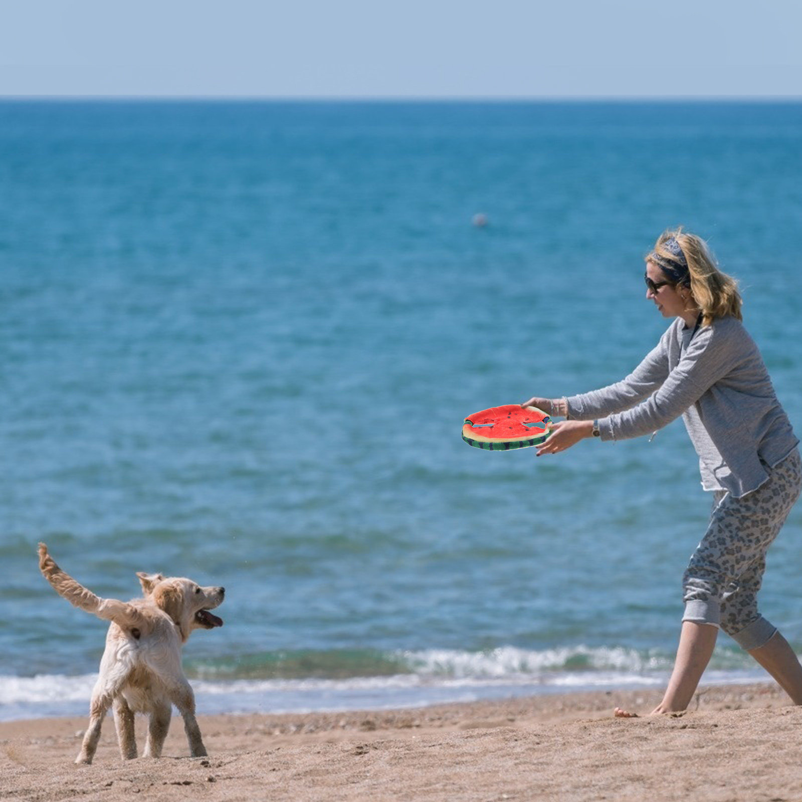 Vliegende disc voor honden, dr - Flying Disc Dog Training Toy recensie en prijs