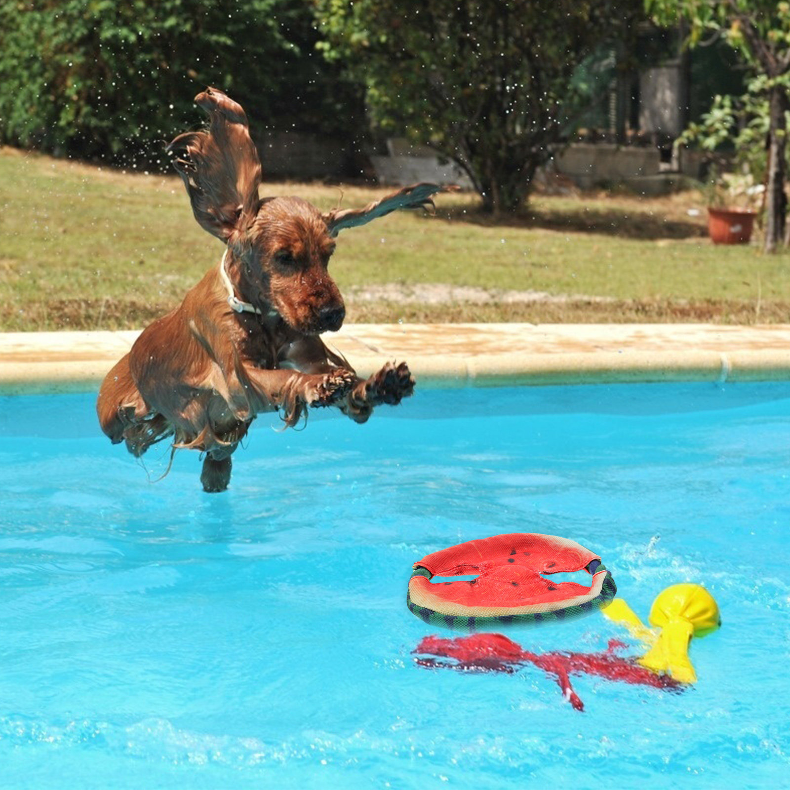 Vliegende disc voor honden, dr - Flying Disc Dog Training Toy recensie en prijs