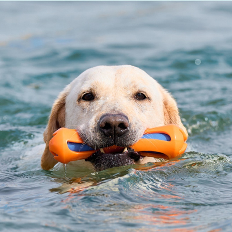 Hondenspeelgoed: TPR EVA drijv - Indestructible Dog Chew Toy recensie en prijs