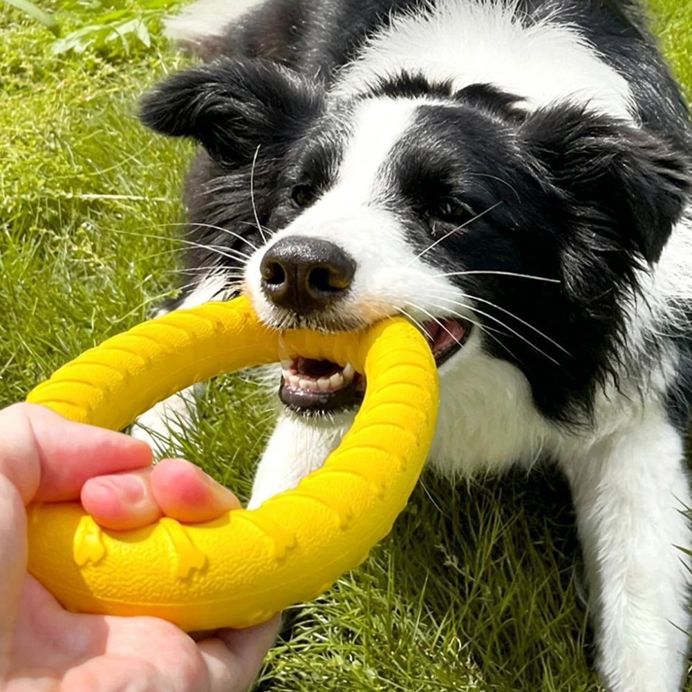 Hondenspeeltjes: onverwoestbar - Indestructible Dog Chew Toy recensie en prijs